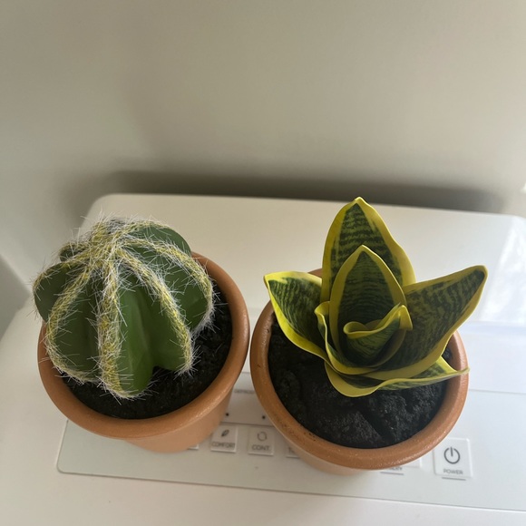 Fake Cactus and Fake Snake Plant with Pots and Realistic texture and Soil! - Picture 3 of 5